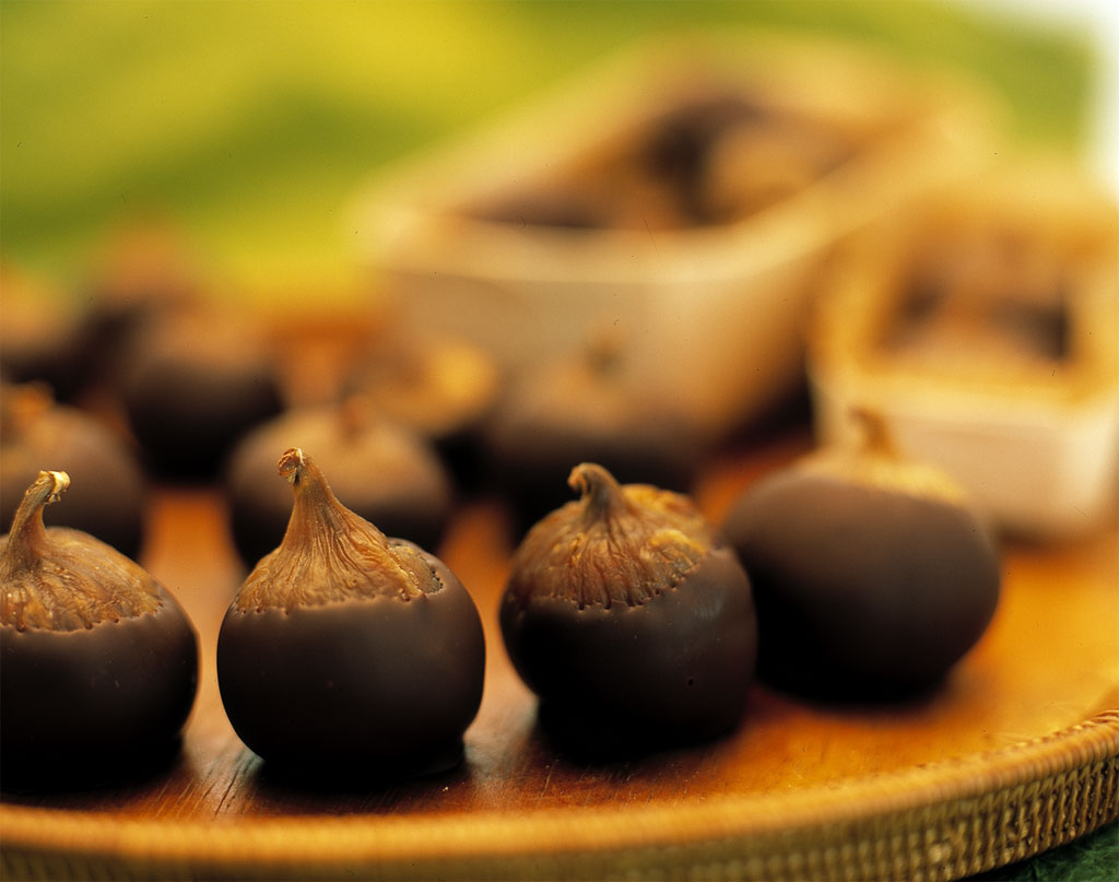 �t�B�O�V���R��